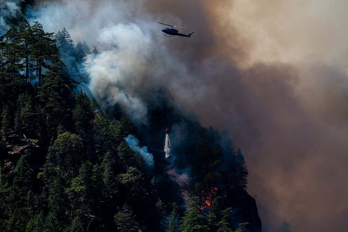 A helicopter drops water onto wildfires near Port Alberni, British Columbia in Canada on 6 June