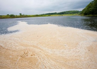 Scum floating on the River Ribble near Clitheroe in Lancashire, UK