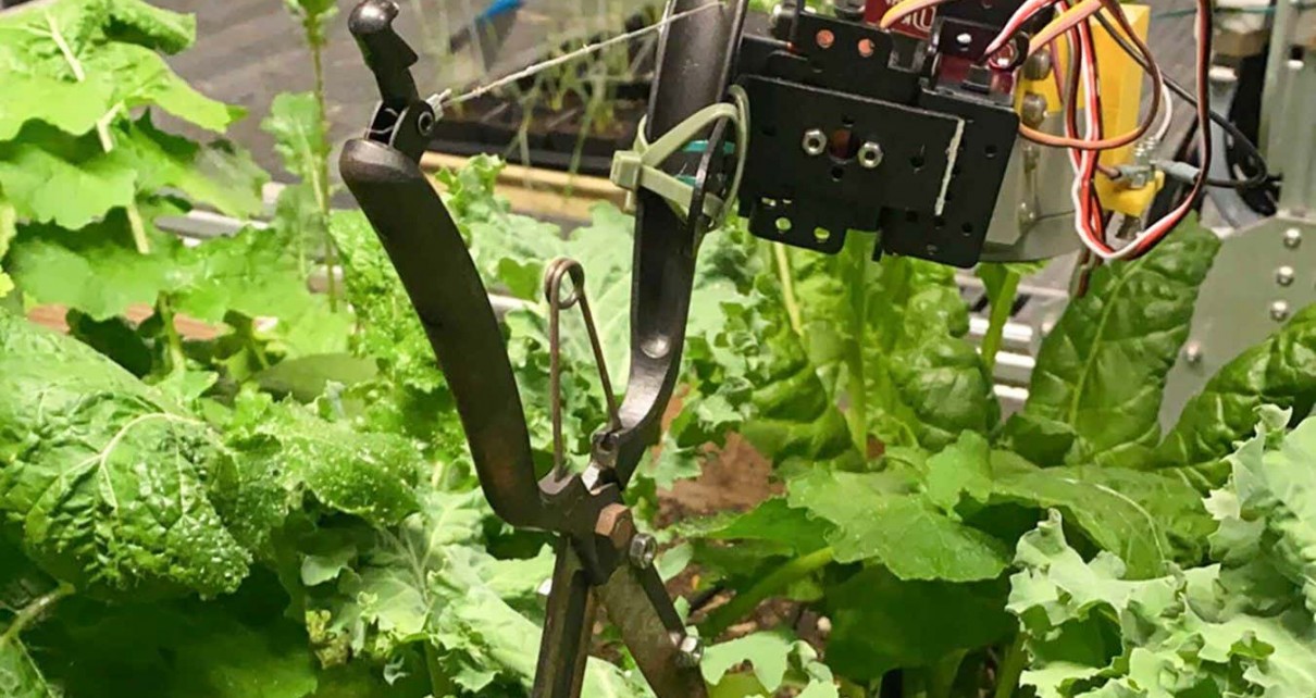 Robot gardener grows plants as well as humans do but uses less water