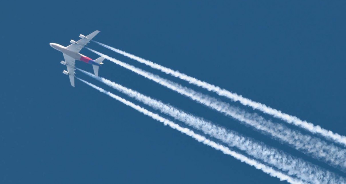 Planes could soon run on pig fat – but it won't reduce emissions