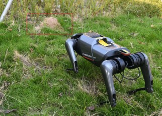 Robotic dogs can locate fire ant nests.