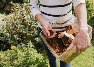 R126CH Unrecognisable woman in casual clothing holding a box of used coffee ground to use as compost in her garden.