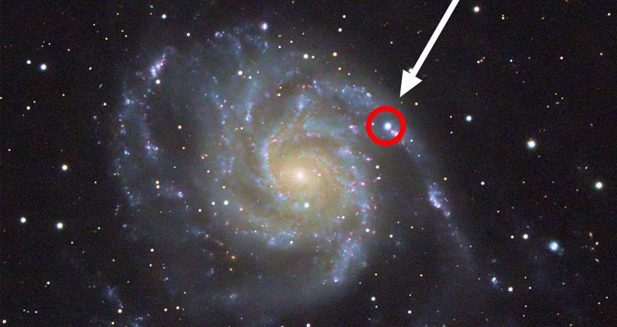 Astronomers are using a new supernova to search for alien signals
