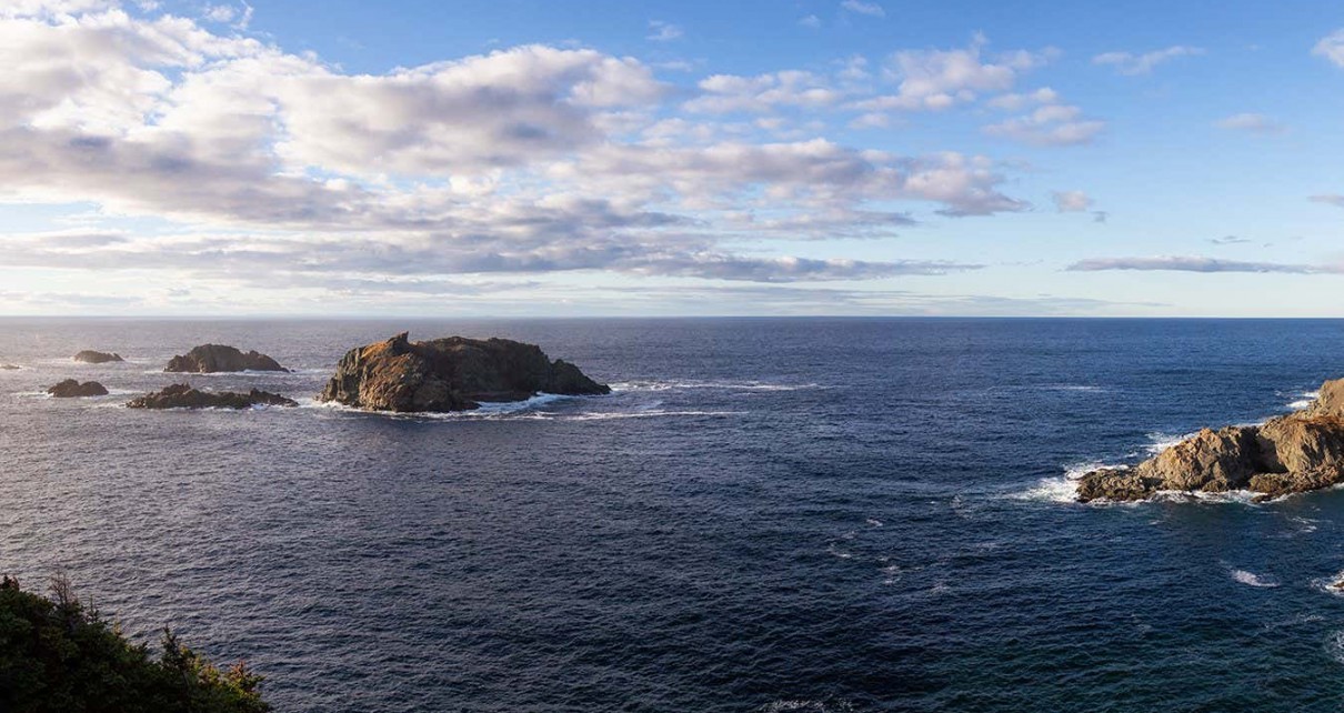 North Atlantic Ocean has reached record-high surface temperatures