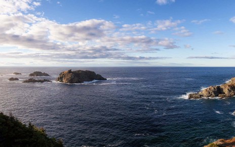 North Atlantic Ocean has reached record-high surface temperatures