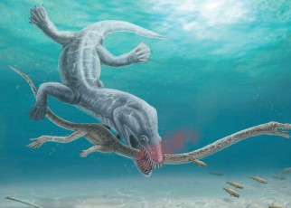 Ancient reptiles' long necks made them vulnerable to decapitation