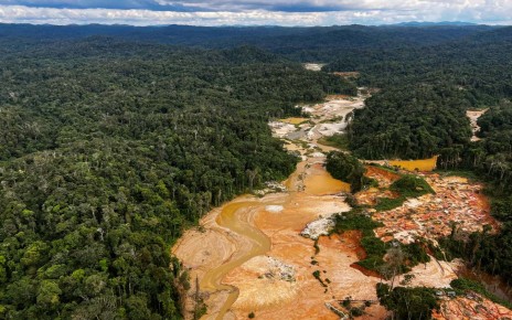 Amazon deforestation has begun to slow since Lula took over in Brazil