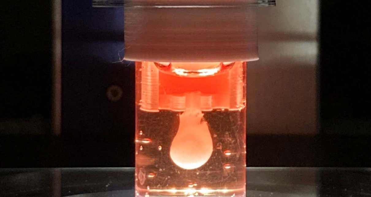 Heart chambers 3D printed from live human cells can beat for months
