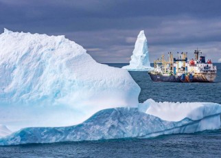 Antarctic sea life under threat as talks on protected areas fail