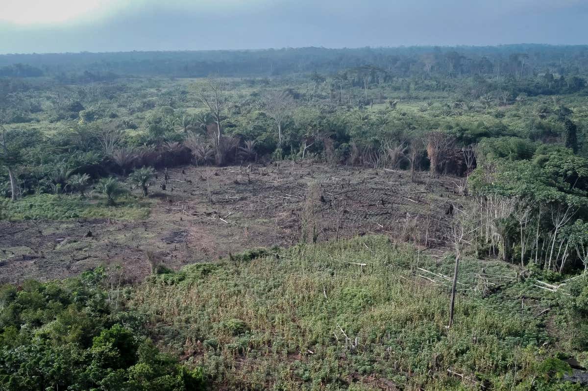 TOPSHOT - This aerial view shows a deforested farm in Yanonge, 60 km from the town of Kisangani in Tshopo province, northeastern Democratic Republic of the Congo on September 1, 2022. (Photo by Guerchom Ndebo / AFP) (Photo by GUERCHOM NDEBO/AFP via Getty Images)