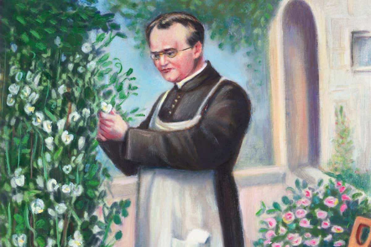 Painting showing Gregor Mendel, Austrian scientist who experimented with garden peas to establish the principle of heredity.