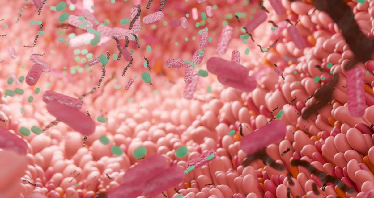 Your gut microbiome is linked to your fitness and biological age