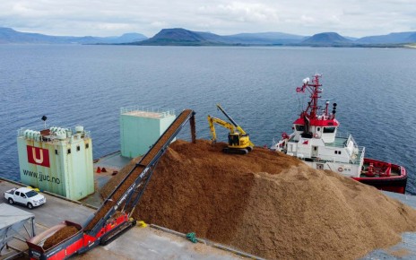 Will sinking tonnes of wood into the ocean help tackle climate change?