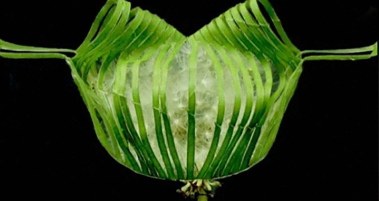 A leaf-based version of the robotic gripper