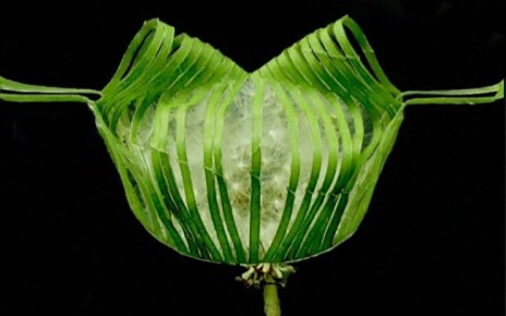 A leaf-based version of the robotic gripper