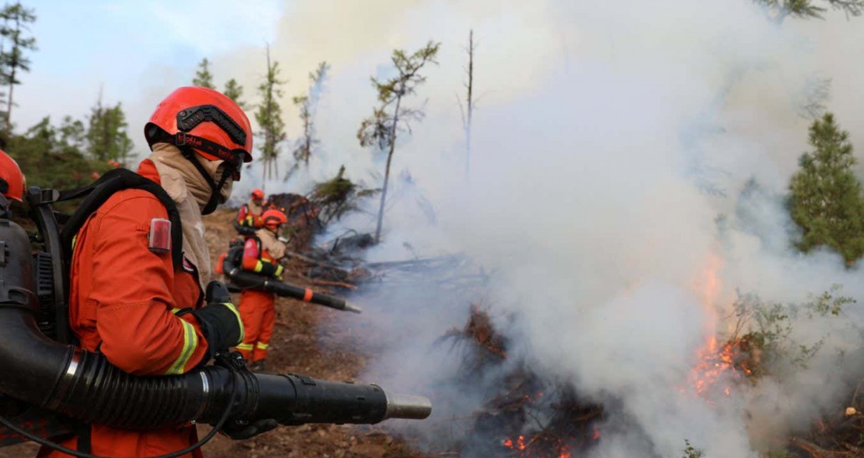 Firefighters try to extinguish a forest fire on 9 August 2023 in Hulun Buir, Inner Mongolia Autonomous Region of China