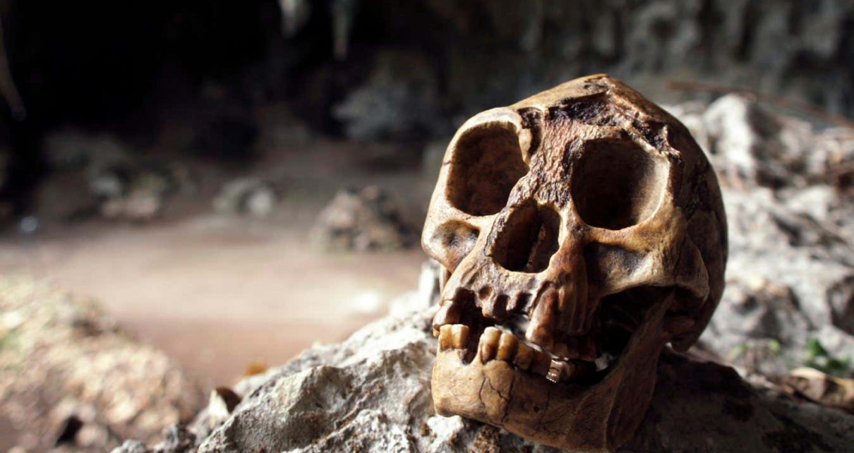 The untold story of the curiously controversial Homo floresiensis dig