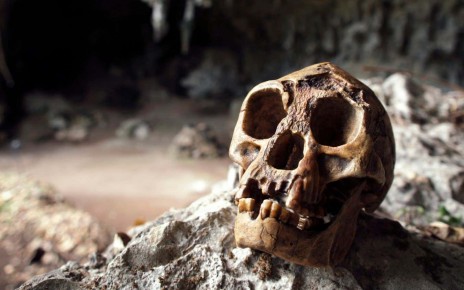 The untold story of the curiously controversial Homo floresiensis dig