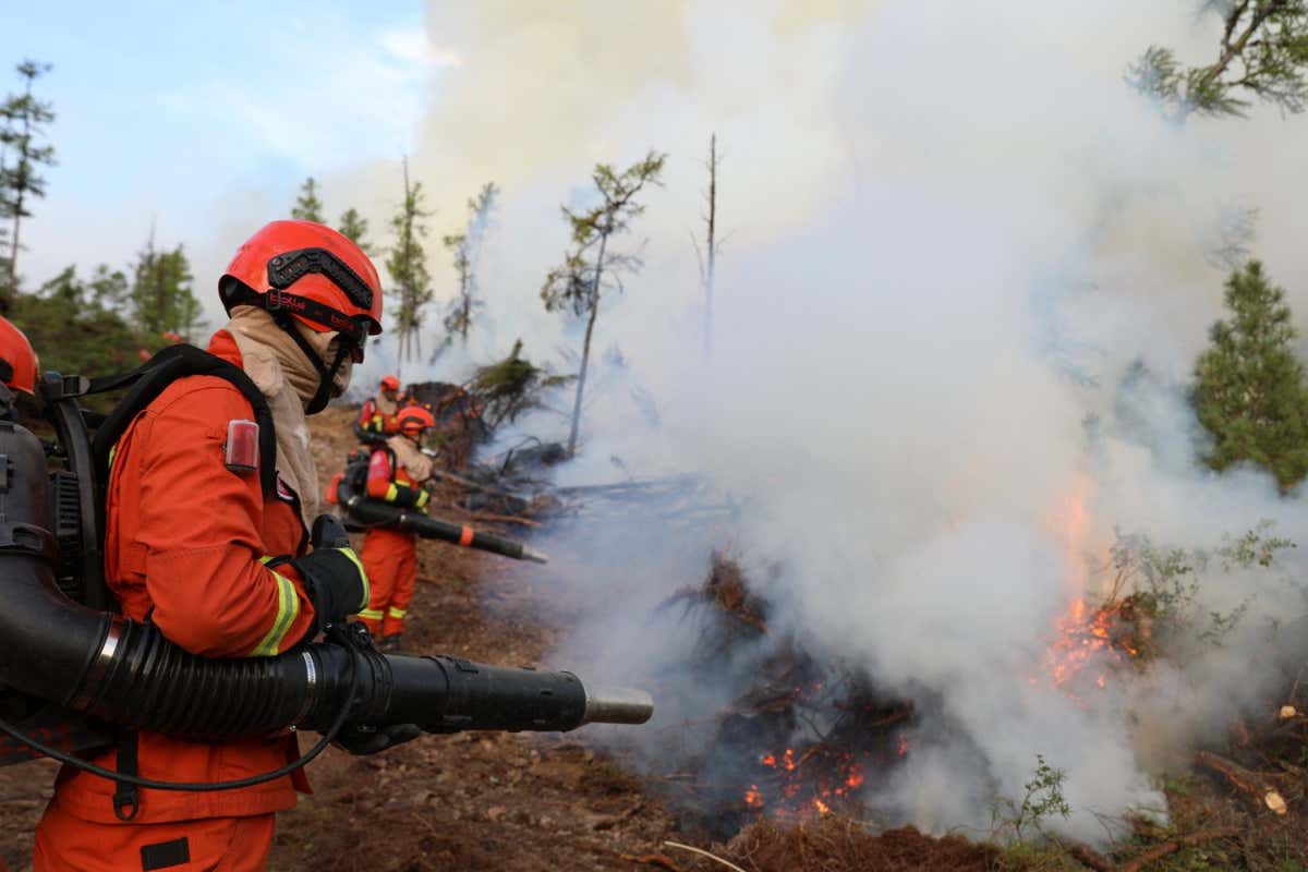 Firefighters try to extinguish a forest fire on 9 August 2023 in Hulun Buir, Inner Mongolia Autonomous Region of China