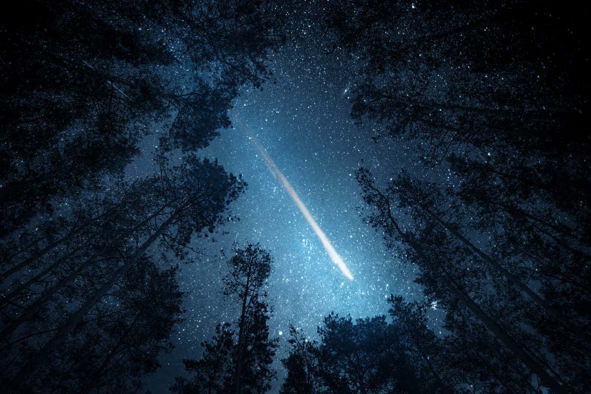 Beautiful night sky, the Milky Way, meteor and the trees. Elements of this image furnished by NASA.; Shutterstock ID 1205926213; purchase_order: -; job: -; client: -; other: -