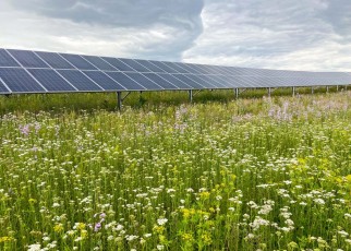Can massive solar power expansion regenerate the US’s iconic prairies?
