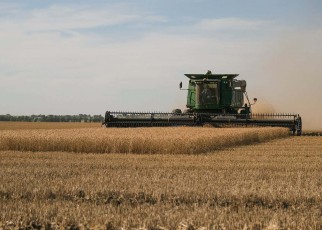 Wheat harvesting in Kansas