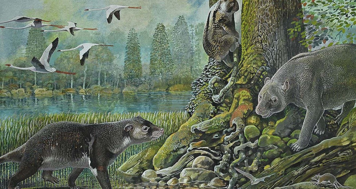 Reconstruction of an ancient marsupial ecosystem