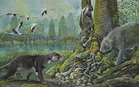 Reconstruction of an ancient marsupial ecosystem