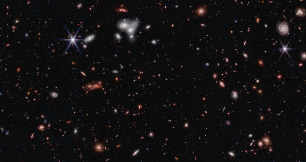 The earliest black holes seen by JWST appear to be unusually massive