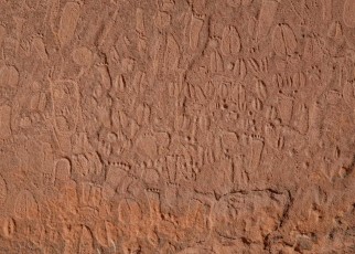Stone Age carvings of animal footprints identified by expert trackers