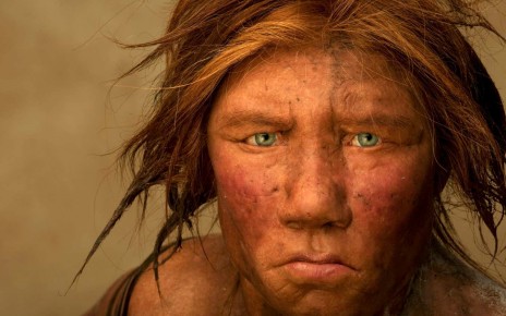 The Naked Neanderthal review: Looking for the real Neanderthals