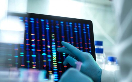 Scientist examining DNA results on a screen