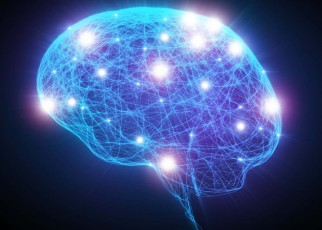 Theory of consciousness branded 'pseudoscience' by neuroscientists