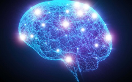 Theory of consciousness branded 'pseudoscience' by neuroscientists