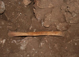 A human bone from up to 3900 BC found inside the Cueva de los Marmoles cave in Grenada, Spain