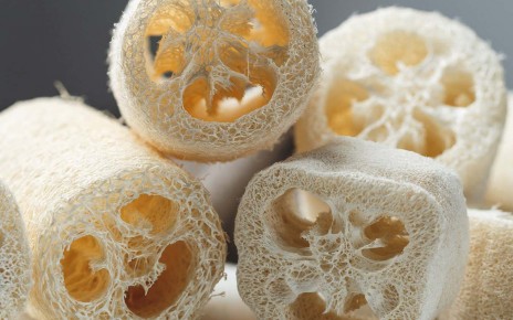 Squeezing loofah sponges creates enough electricity to power LEDs