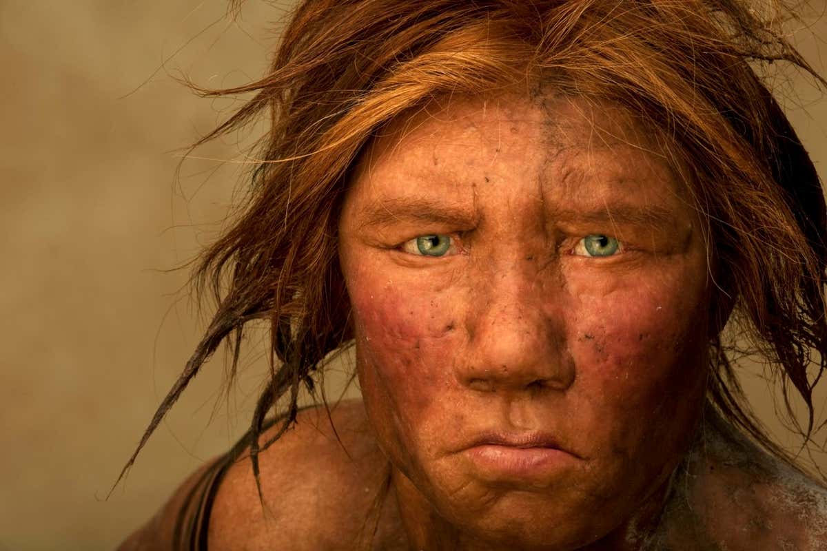 The Neanderthal woman was re-created and built by Dutch artists Andrie and Alfons Kennis. Research including fossil anatomy and a detailed study of DNA is present in the color of the skin and eyes. (Photo by Joe McNally/Getty Images)