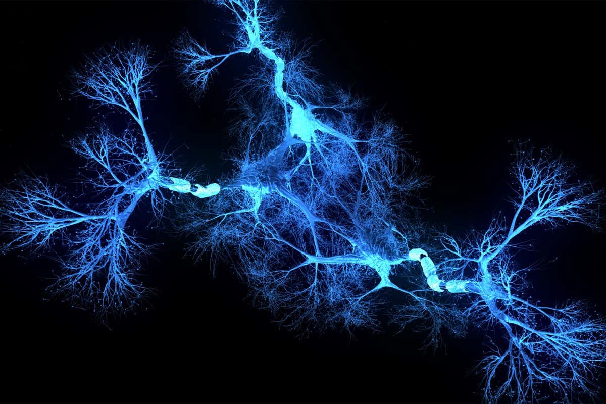 Neuron system hologram - 3d rendered image of Neuron cell network on black background. Hologram view interconnected neurons cells with electrical pulses. Conceptual medical image. Glowing synapse. Healthcare concept.