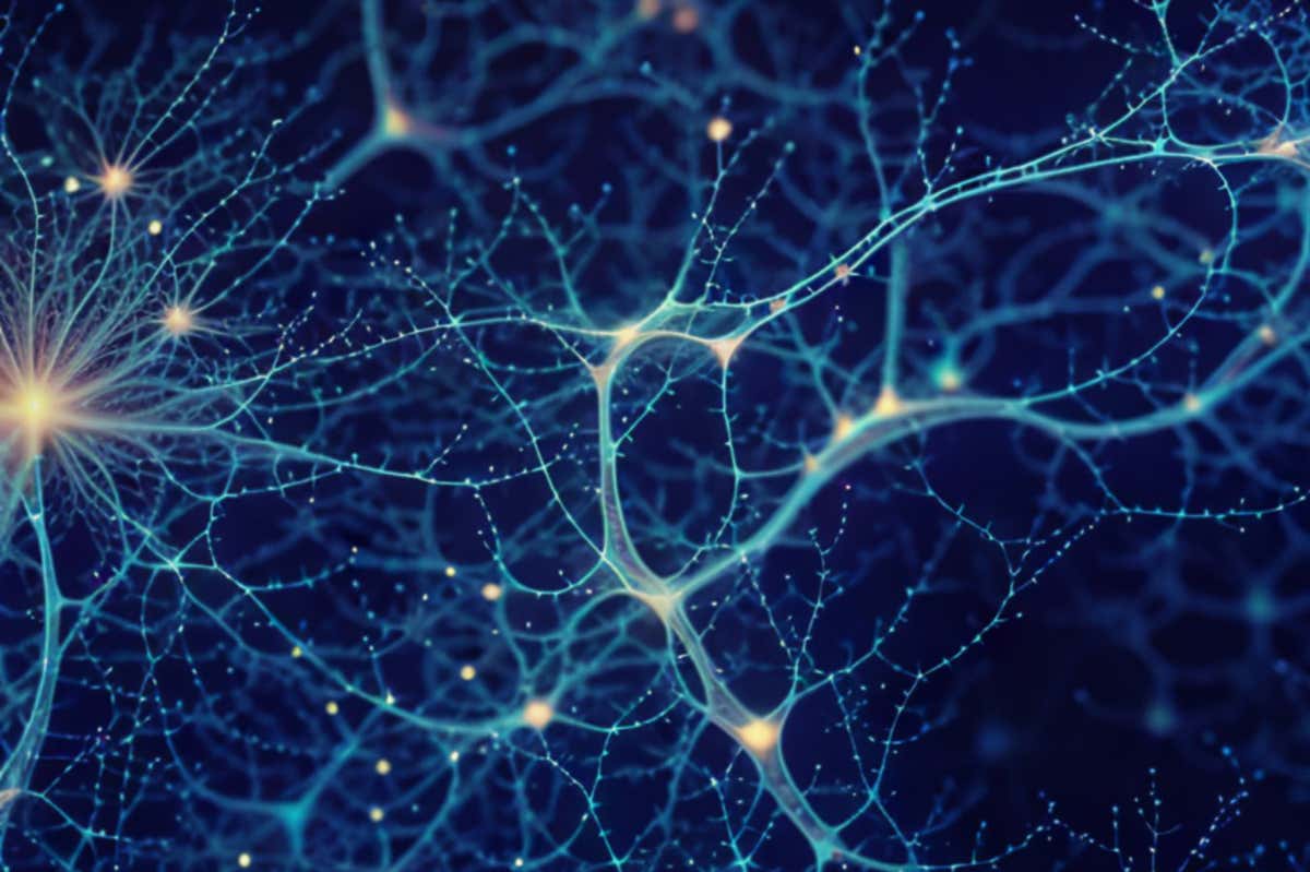 Illustration of abstract neuron on a blue background.; Shutterstock ID 2287702999; purchase_order: NS mag 090923; job: NS mag; client: NS; other: