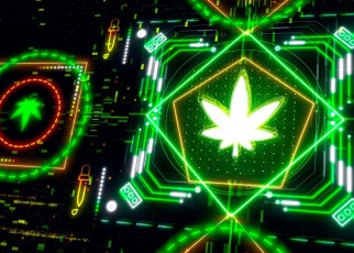 AI can detect if you have recently smoked cannabis