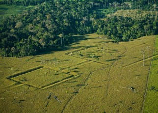 The Amazon may contain thousands of undiscovered ancient structures