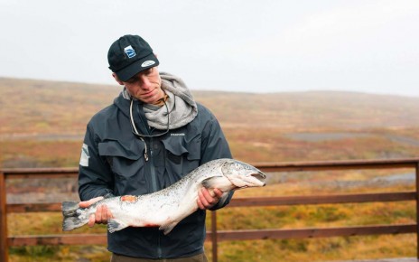 On the hunt for thousands of salmon that escaped Icelandic fish farm