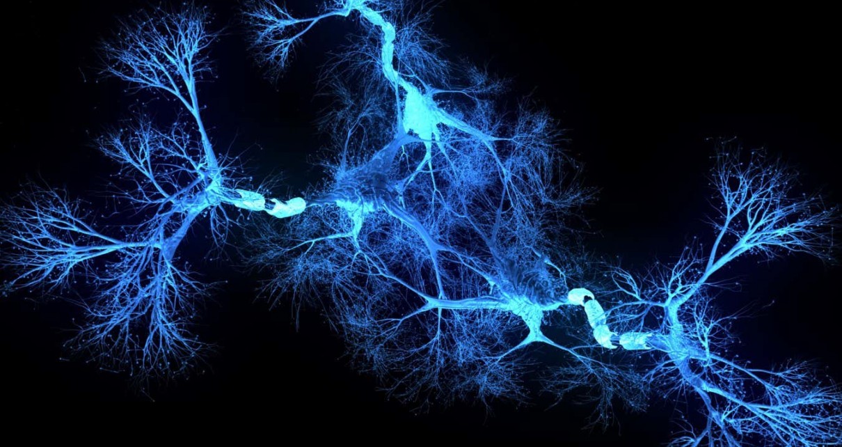 Neuron system hologram - 3d rendered image of Neuron cell network on black background. Hologram view interconnected neurons cells with electrical pulses. Conceptual medical image. Glowing synapse. Healthcare concept.