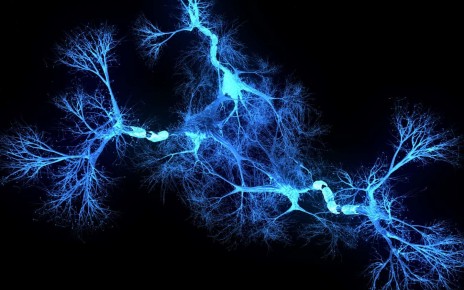 Neuron system hologram - 3d rendered image of Neuron cell network on black background. Hologram view interconnected neurons cells with electrical pulses. Conceptual medical image. Glowing synapse. Healthcare concept.