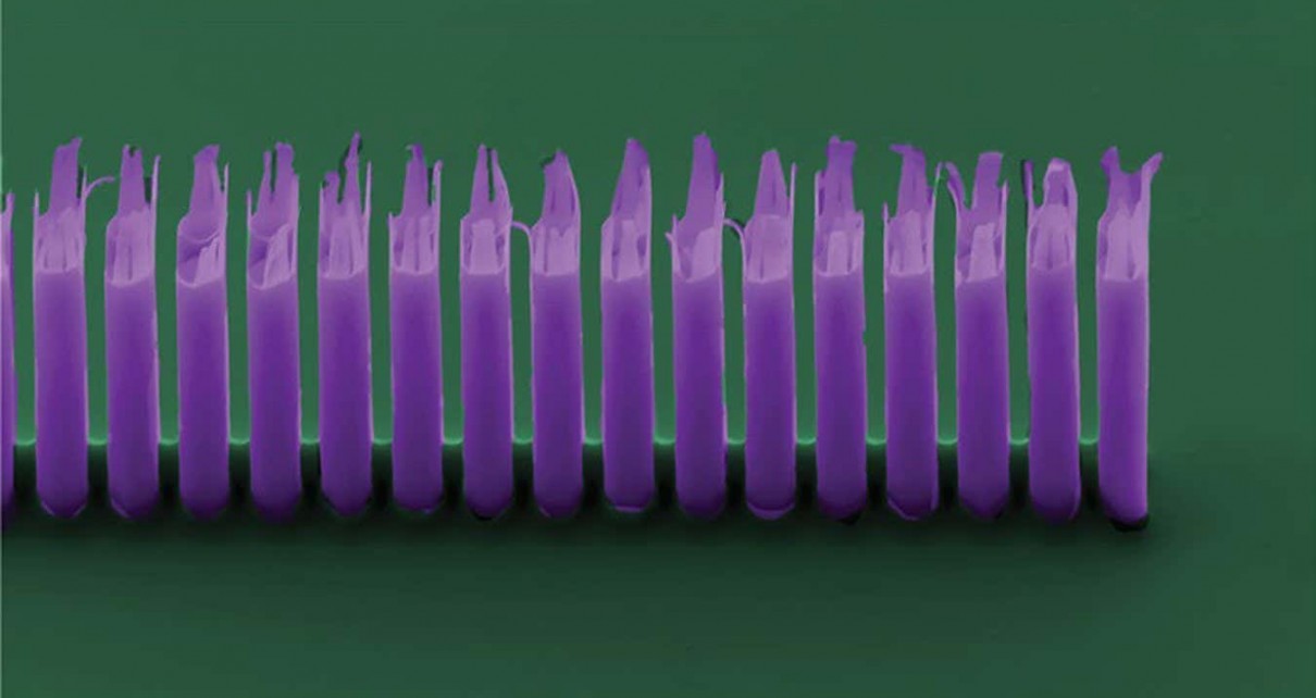 Tiny particle accelerator