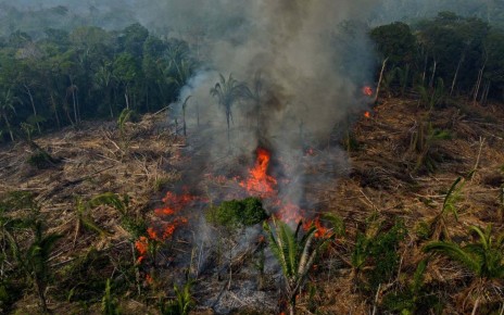 Deforestation increased in 2022 despite pledges to save forests