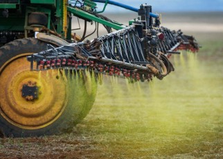 Pesticides in soya farming may be behind leukaemia deaths in Brazil