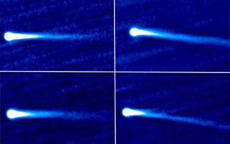 A comet wagged its tail as it flew past the sun