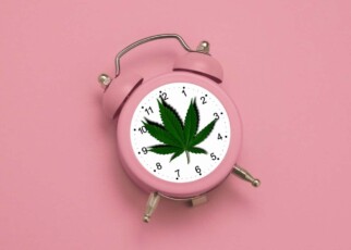 Artists representation of cannabis and time