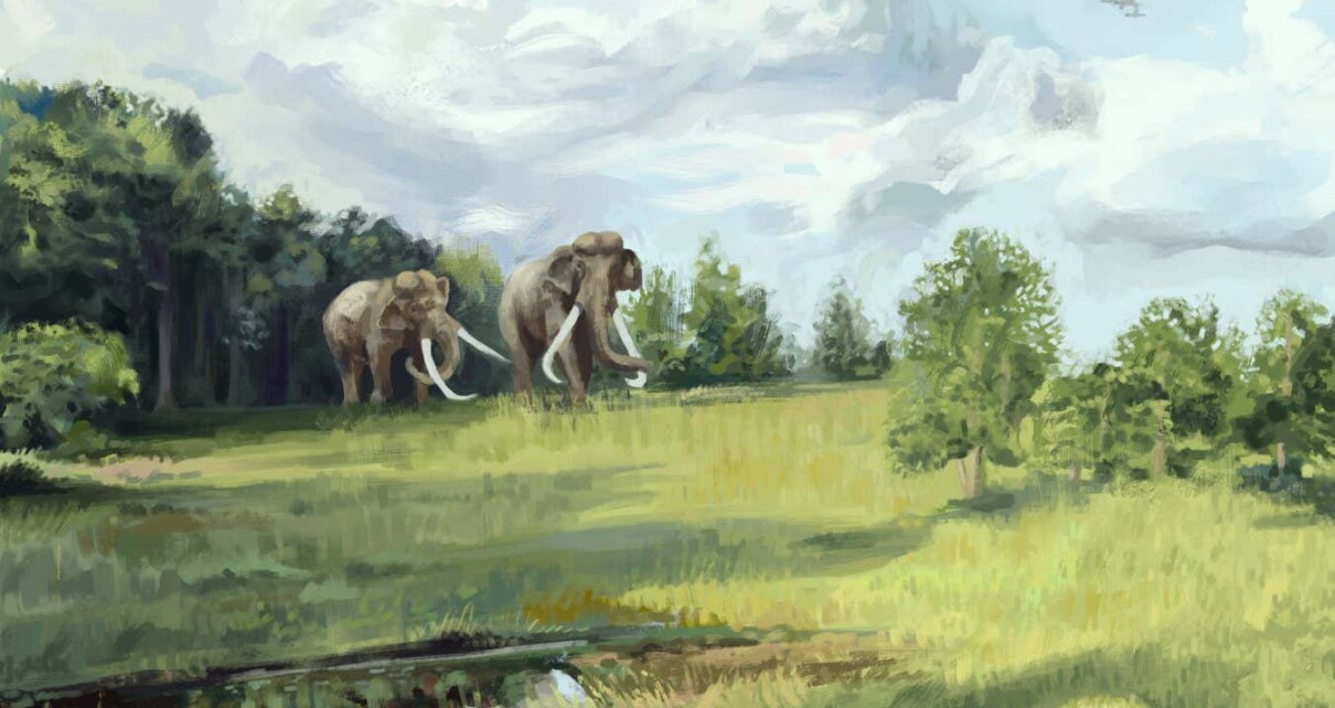Ancient Europe was half covered by savannah and grazed by elephants
